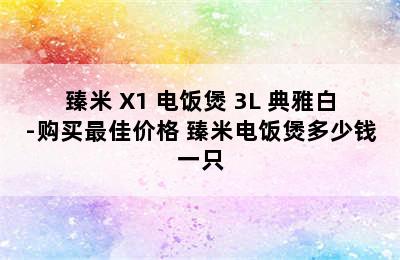 臻米 X1 电饭煲 3L 典雅白-购买最佳价格 臻米电饭煲多少钱一只